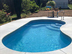 Kidney Shaped Swimming Pools Manufacturer in Faridabad